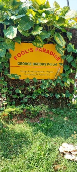 Fool'S Paradise Homestay アーラップーザ県 エクステリア 写真